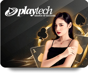 VF555 Tỷ Lệ Vàng giúp tối ưu trải nghiệm người dùng thiết kế web